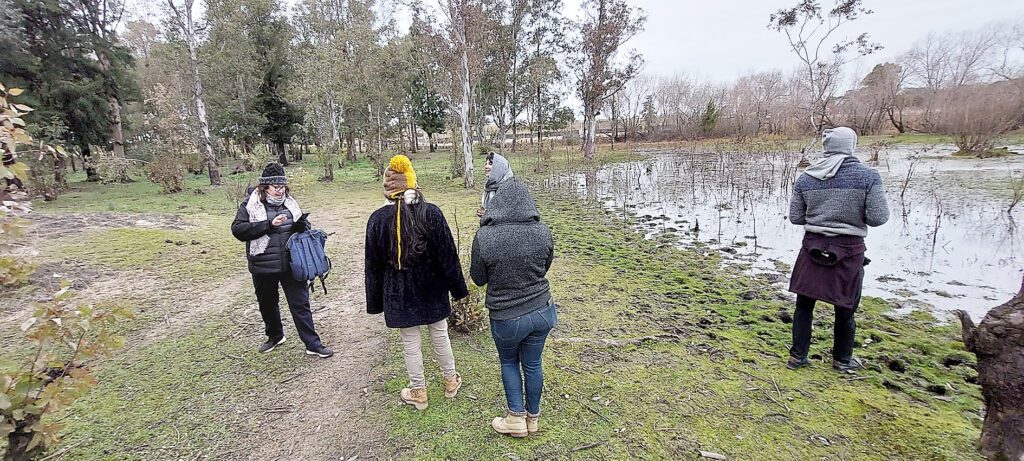 Se continúa trabajando en el “Plan de control de las leñosas invasoras Gleditsia Triacanthos en el Humedal del observatorio de aves"