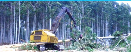 Cuestiones de Género al campo: se abren inscripciones para mujeres de Durazno que quieran manejar maquinaria forestal