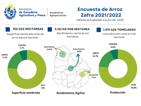 Disminuyó la superficie de arroz plantada en el departamento y la región Centro en casi 2000 hectáreas