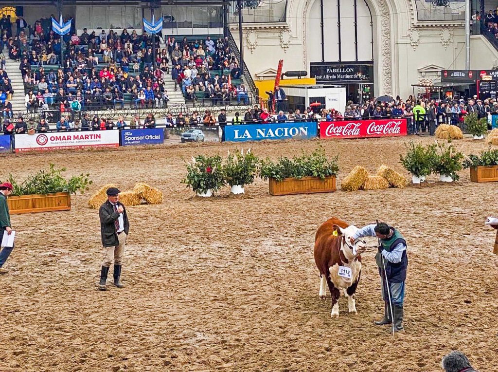 Santiago Bordaberry comenzó jura en Expo Palermo 2022, Andrés Peñagaricano juzgará el Hereford en Expo Prado