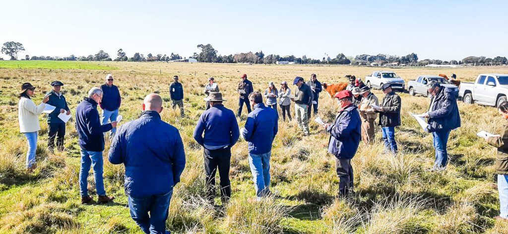 an lisis del plan agropecuario de los campos de durazno