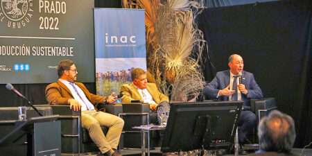 inac carne uruguaya