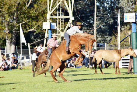 jineteadas encuentro gaucho durazno