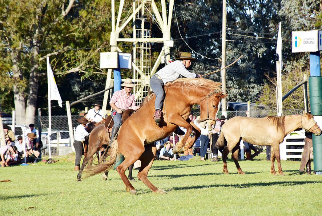 jineteadas encuentro gaucho durazno