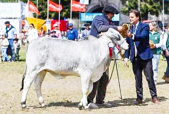 lacalle pou jersey expo prado