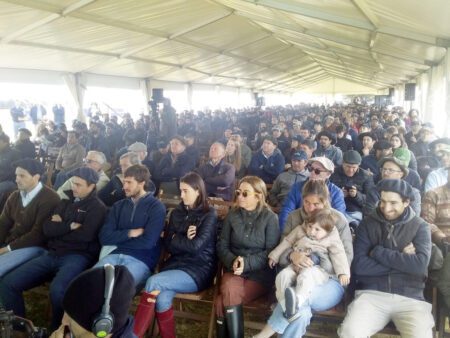 las anitas pasturas
