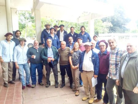 shorthorn en la rural durazno