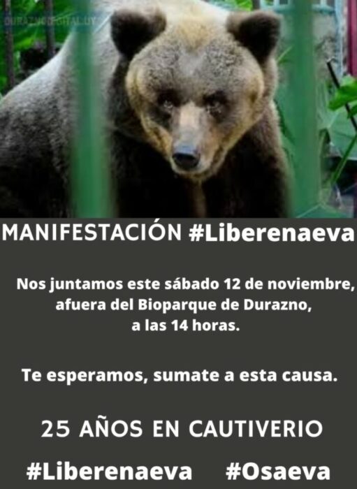 2022 11 11 activistas convocan a manifestarse hoy s bado 2022 11 11 activistas convocan a manifestarse hoy s bado