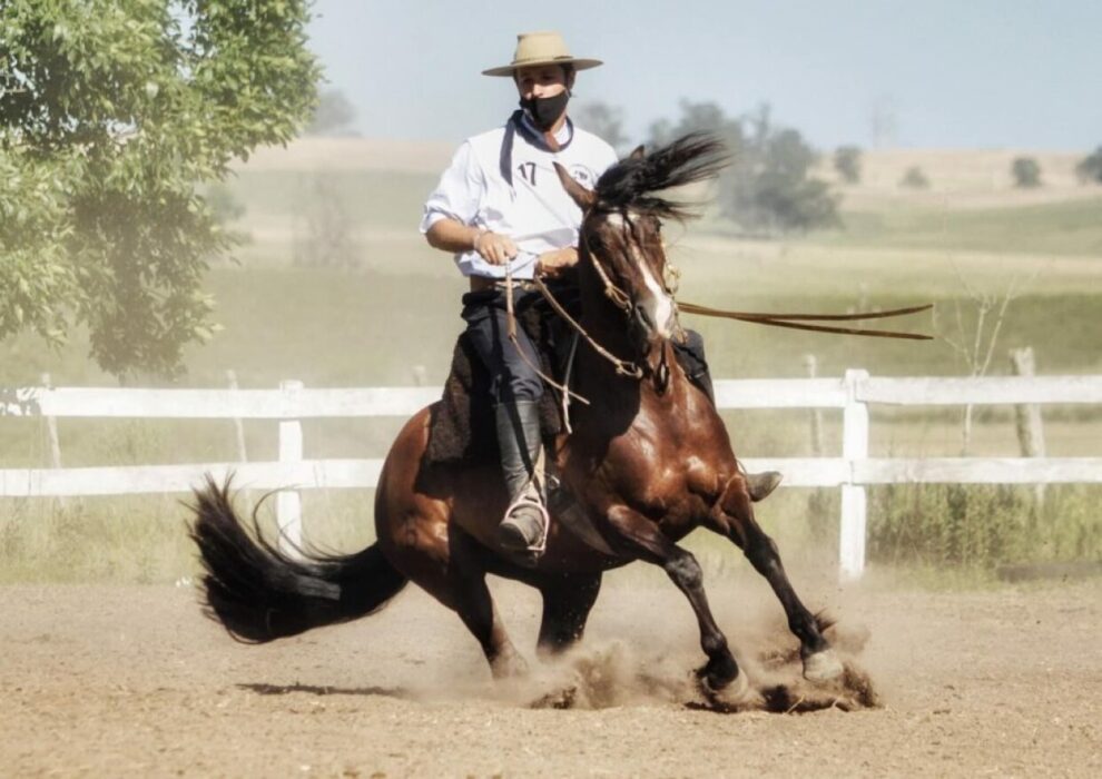 los domadores llegar n a durazno para lucirse sobre los potros en santa bernardina 7864694 los domadores llegar n a durazno para lucirse sobre los potros en santa bernardina 7864694