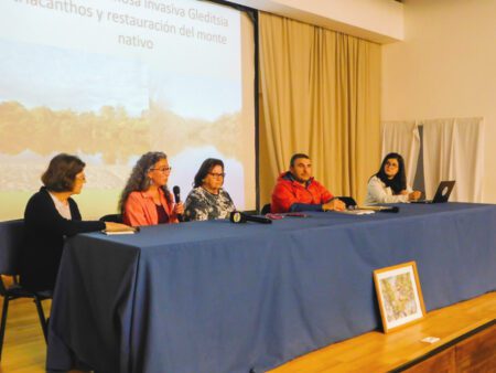 taller monte nativo