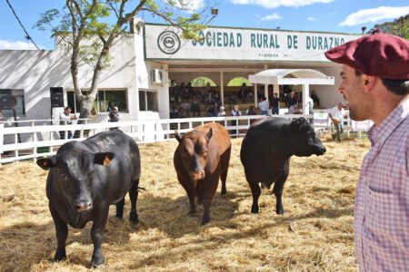 zafra toros 2022