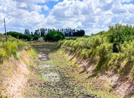 MGAP extiende emergencia agropecuaria por 90 días para todo el país e inició gira por el interior