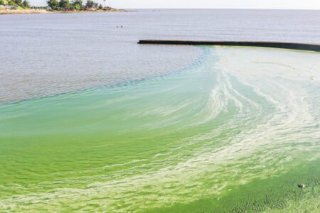 Ministerio de Ambiente busca mejorar un río más verde que Negro “que actualmente tiene problemas serios”