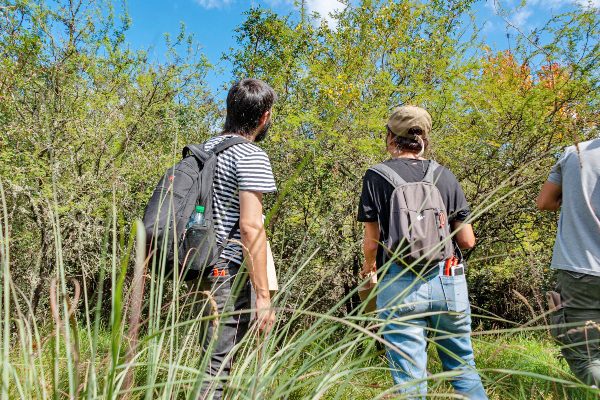 Estudiantes y sociedad civil en tareas de preservación del bosque ribereño