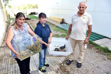Bioparque Durazno recibió animales incautados por la aduana uruguaya