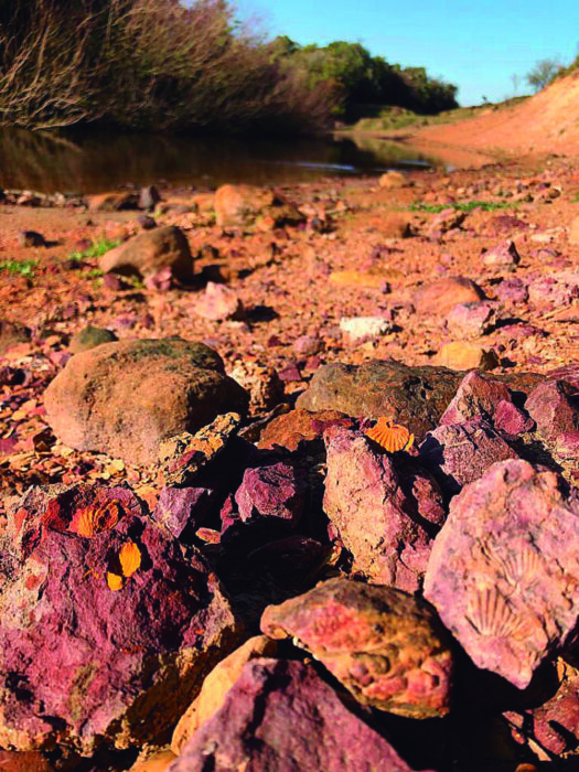 Rafael Casas realizó talleres de paleontología en Las Pitangas: El Devónico aflora en el Cordobés 2 Increible paisaje del Cordobés desde el Devónico