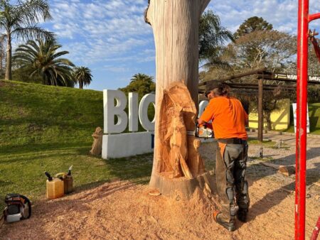 Luis Gamba talla un arbol con motosierra en la entrada al Bioparque Durazno