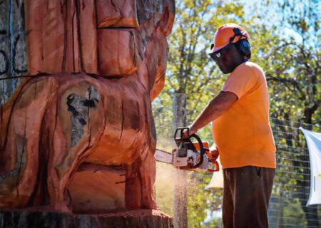 Luis Gamba creará obras de arte con troncos y una motosierra