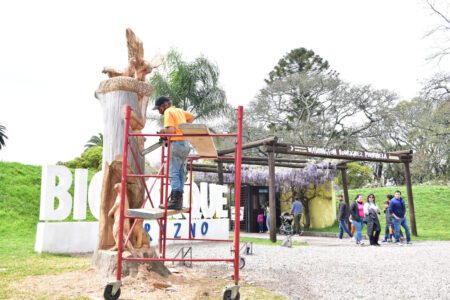 Luis Gamba en pleno trabajo de tallar un árbol con una motosierra