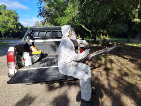 Esta mañana se realizó fumigación para combatir mosquitos en el Camping 33 Orientales
