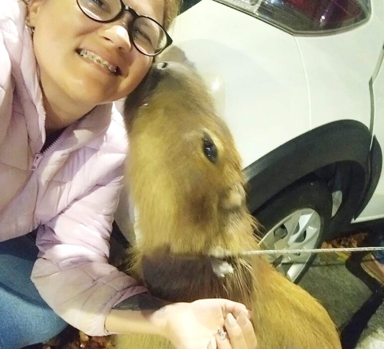 Juanito, el carpincho: Causó todo un alboroto en la ciudad, se salvó de terminar en la parrilla y volvió con su familia 3 Cheril y su reencuentro con Juanito luego de la ardua búsqueda