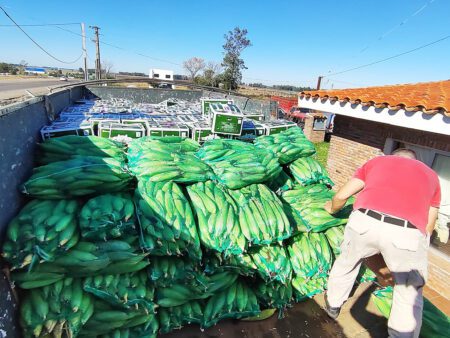 Policía Caminera incautó 14.108 kilogramos de verduras y frutas de contrabando en Durazno