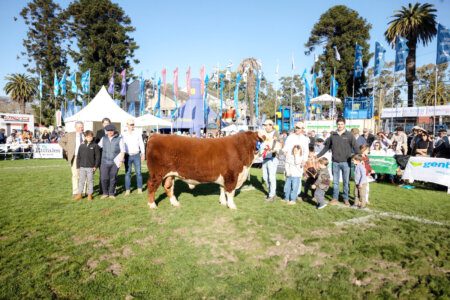 Tercer Mejor Macho Hereford y Campeón dos años Mayor de J. Ernesto Alfonso e hijos, Cabaña Las Anitas.