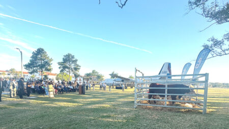 Los toros, el avión y las autoridades al momento del embarque desde Carrasco