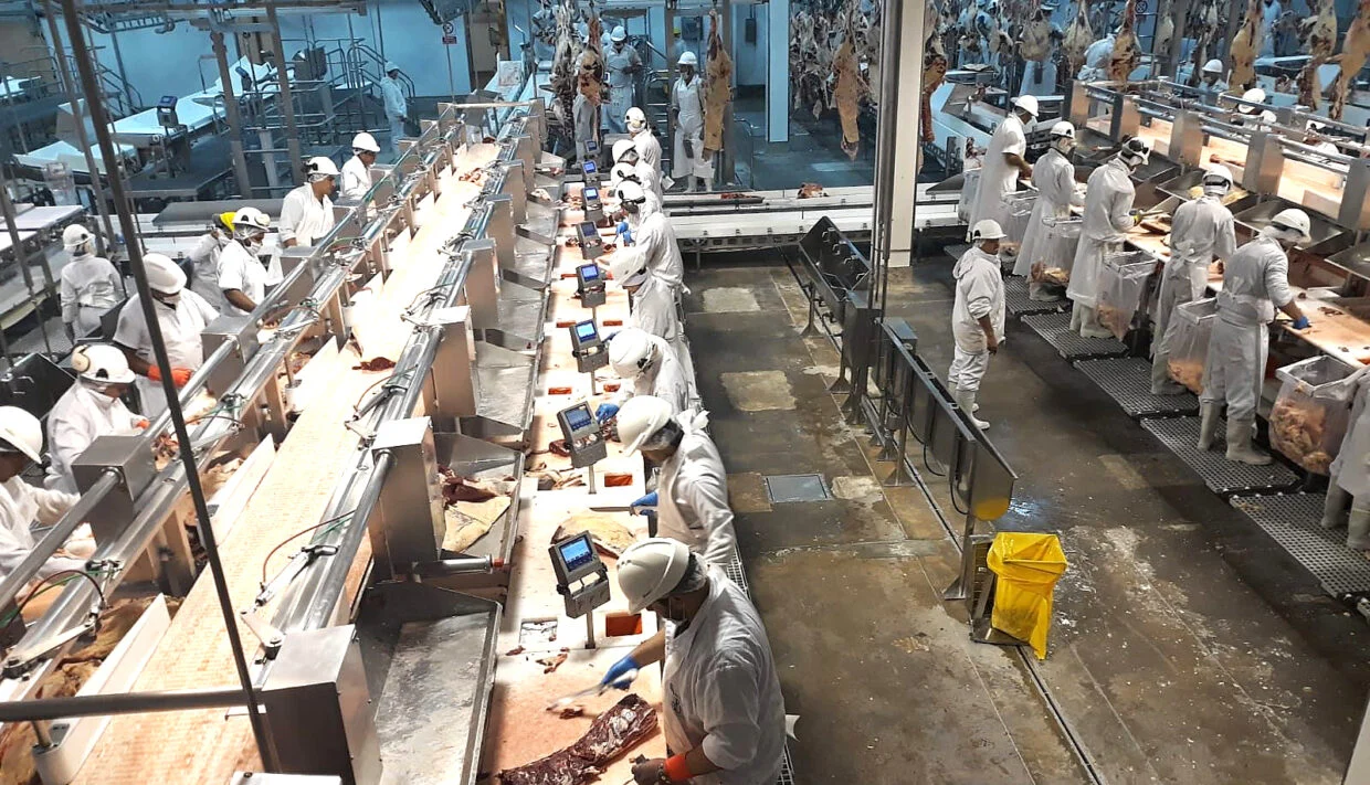 Frigorífico BPU. Foto: Ministerio de Ganadería, Agricultura y Pesca
